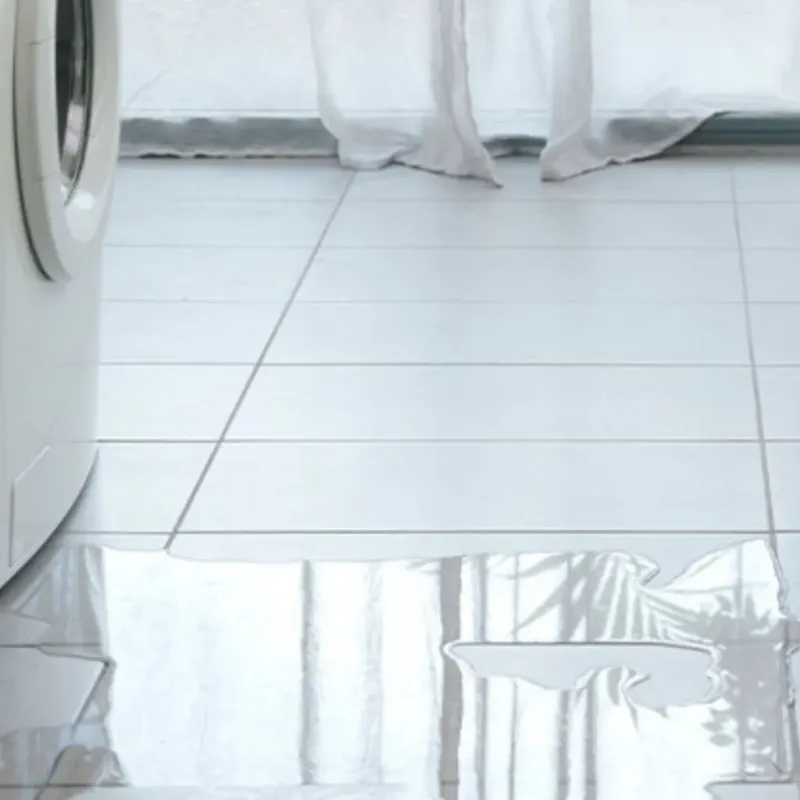 Appliance Leak Cleanup in Marengo, IL
