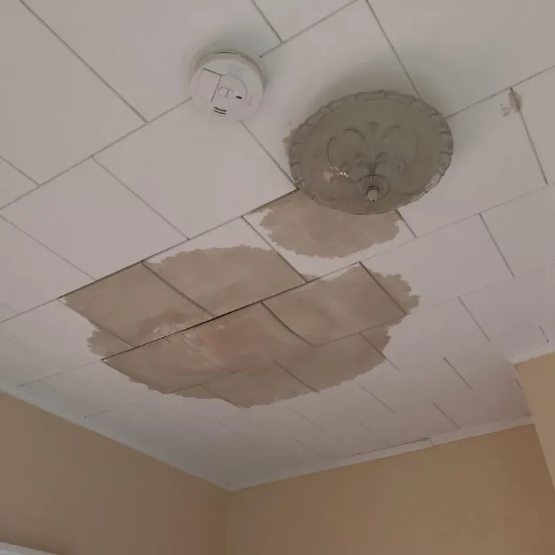 Ceiling Water Damage Repair in Marengo, IL